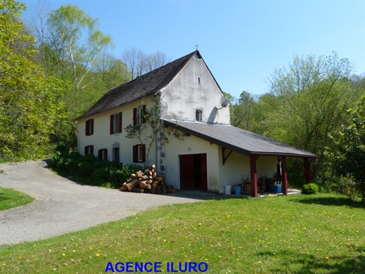 Near Oloron - Beautiful farm completely renovated in a quiet area on more than 7 ha of free land (w