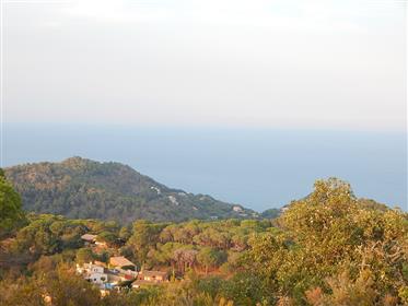 Begur, 5 building plots in the area of Son Molas near the village