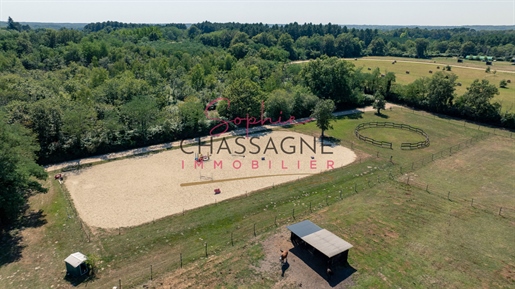 Propriété équestre sur plus de 15 hectares, située à 10 minutes de la A62 et la A65, proche de Bazas