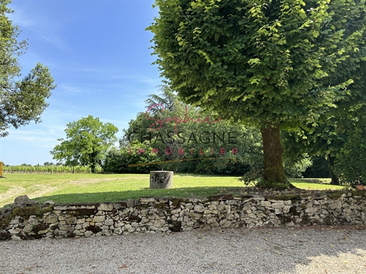 10 minutes from Sauveterre de Guyenne, property on more than 1 hectare with barn convertible into h