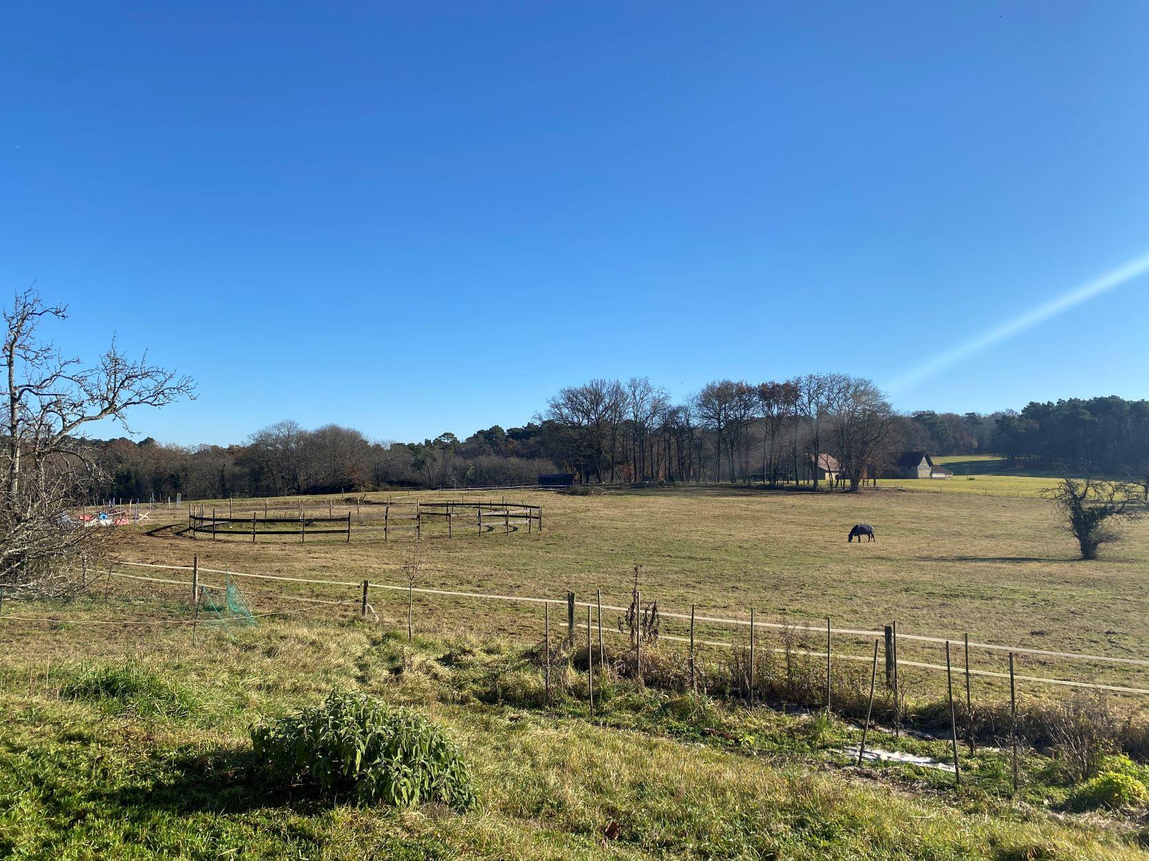 Equestrian property on more than 18 ha 20 minutes from Sarlat