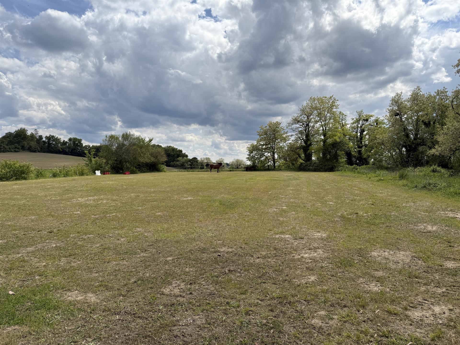 Sur presque 7 hectares, à 5 minutes de Bazas, 10 de Langon, propriété équestre en pierre de 170 m2 s