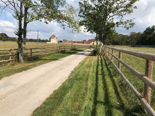 Equestrian property 330 m2 10 minutes from Moulins