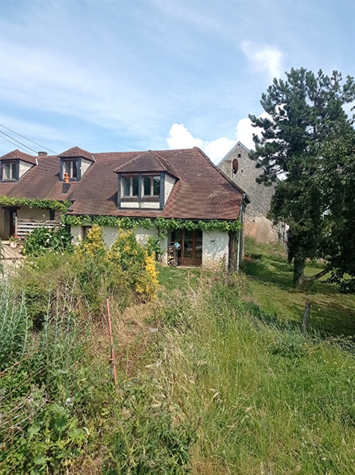 Schönes Haus im Pays d'Othe und seine Wiese von 5,5 Hektar