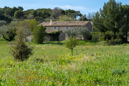 Renovated mas nestled in the heart of an olive grove offering stunning views of Mont Ventoux.
