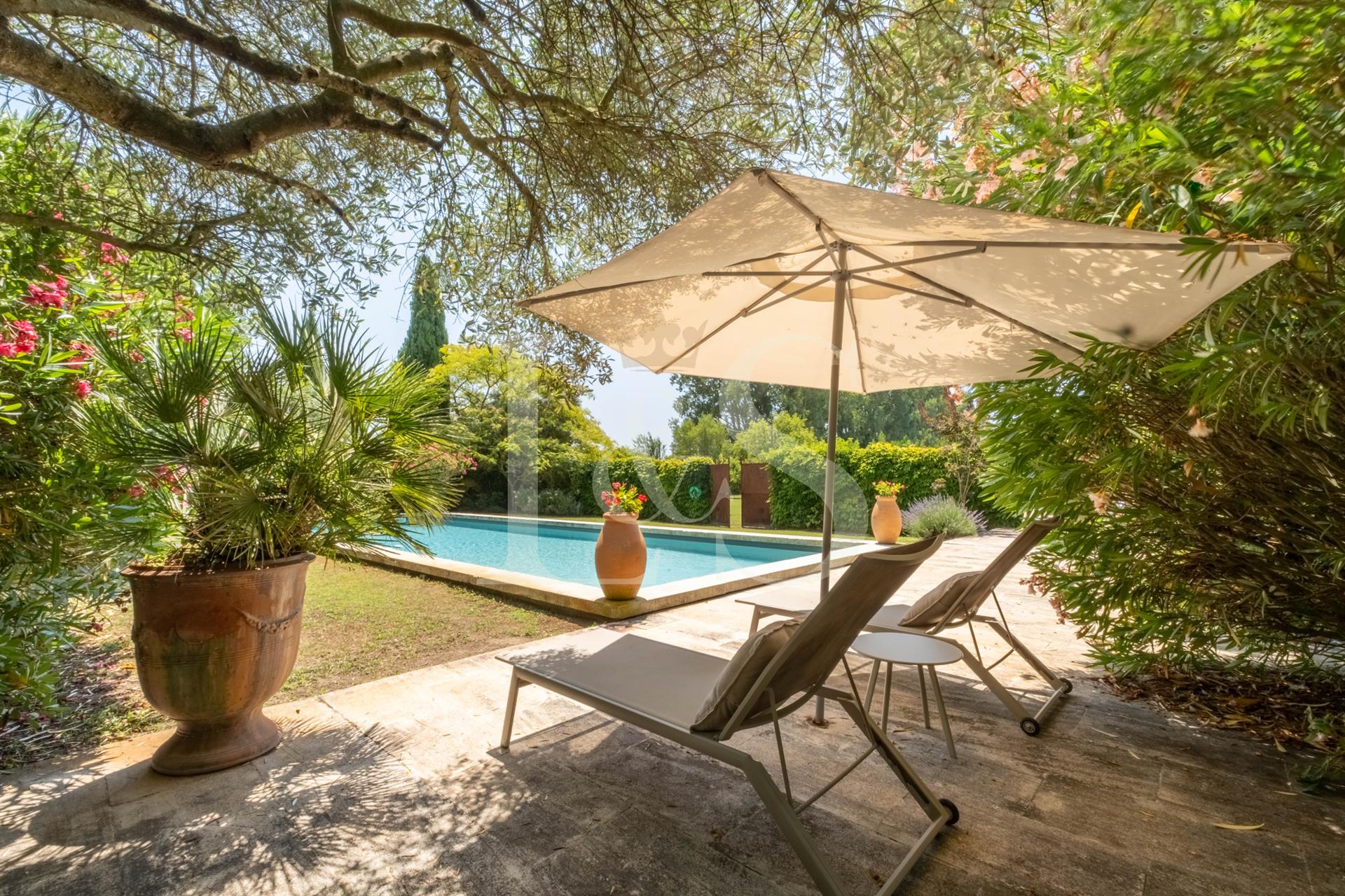 Magnifique mas de 410m2 sur 6380m2 de parc avec piscine