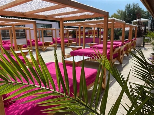 Event Complex in Drôme Provençale 3000m2 with Nightclub, Restaurant, Swimming Pool, Jacuzzi, Gîtes