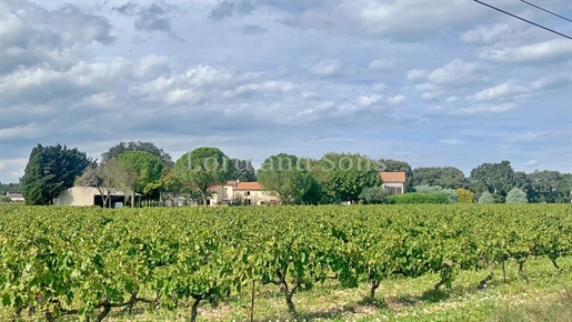 Domaine viticole de 14ha avec 10ha plantés en Aop Village