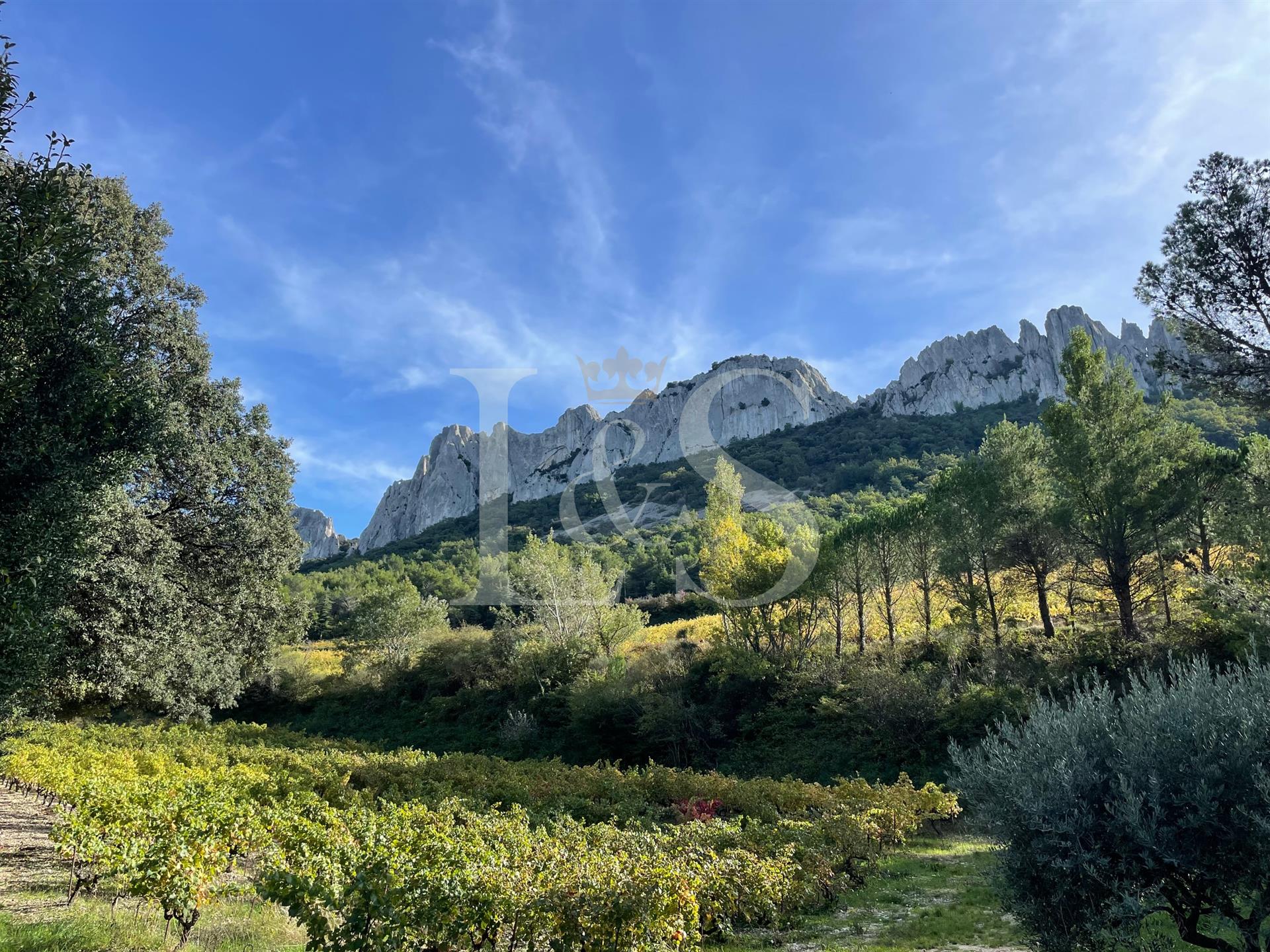 Domaine en Cru Gigondas