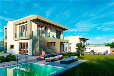 Contemporary House with Pool
