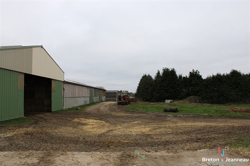 Ekologiczne gospodarstwo mleczne na 51 ha w Mayenne