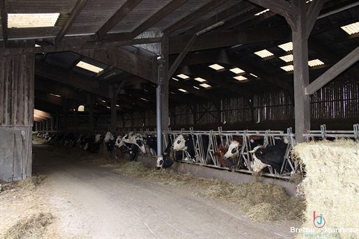 Biologisch melkveebedrijf op 51 ha in Mayenne