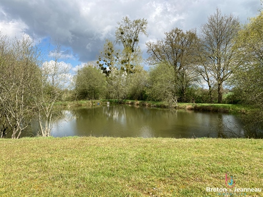 Campo de recreo con estanque - Eje Laval-Mayenne