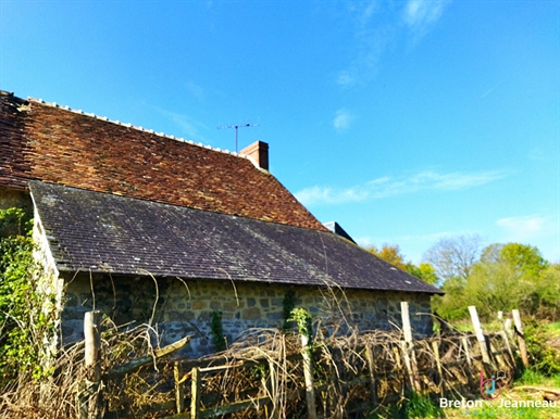 Isolated farmhouse on 1ha 21 Sillé le Guillaume sector