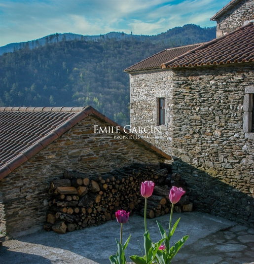 Charming property on 24 ha for sale in Lozère