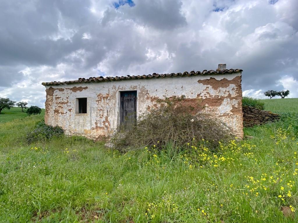 Farm in Alentejo with two dwellings, for