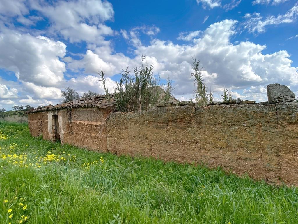 Farm in Alentejo with two dwellings, for