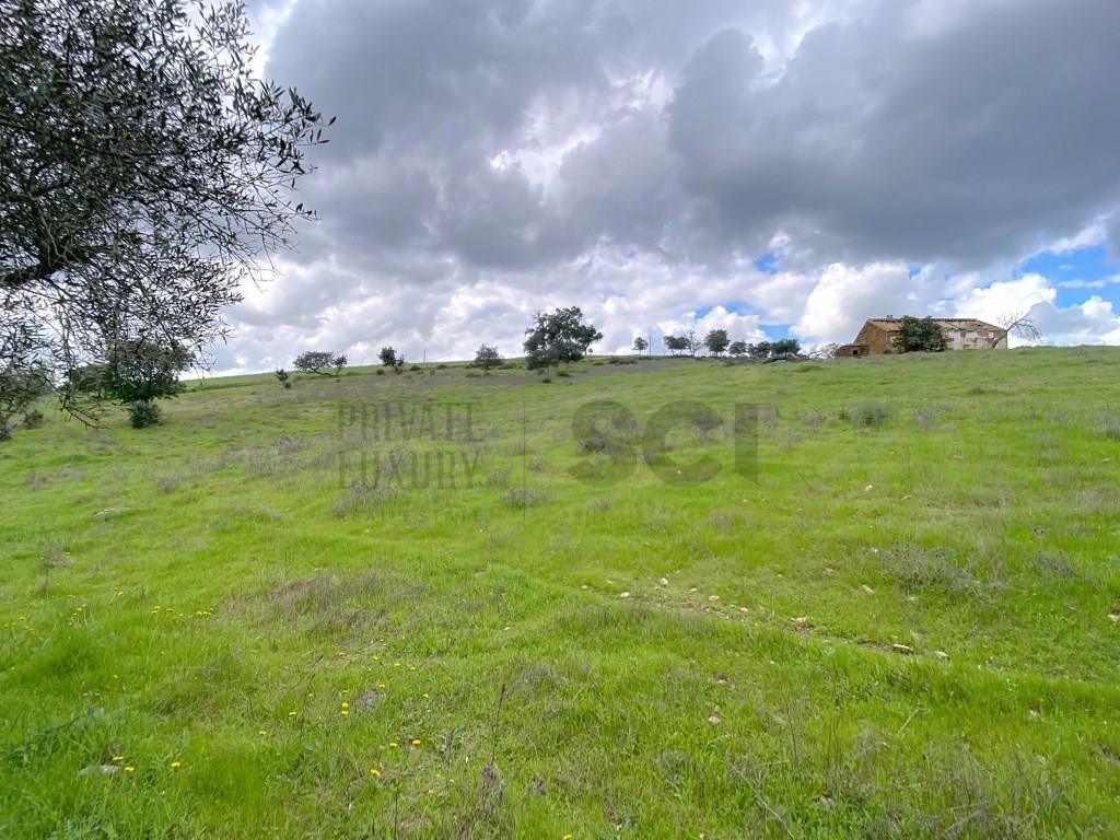 Farm in Alentejo with two dwellings, for
