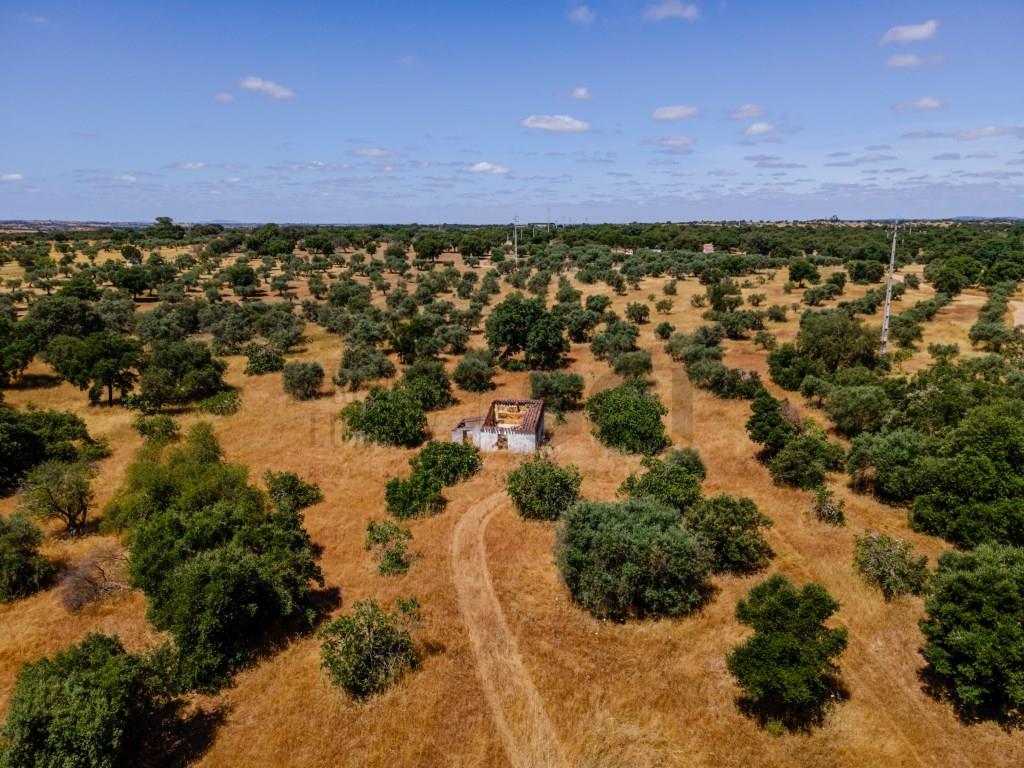 Farm in Vila Nova de São Bento, with a ruin to be recovered...