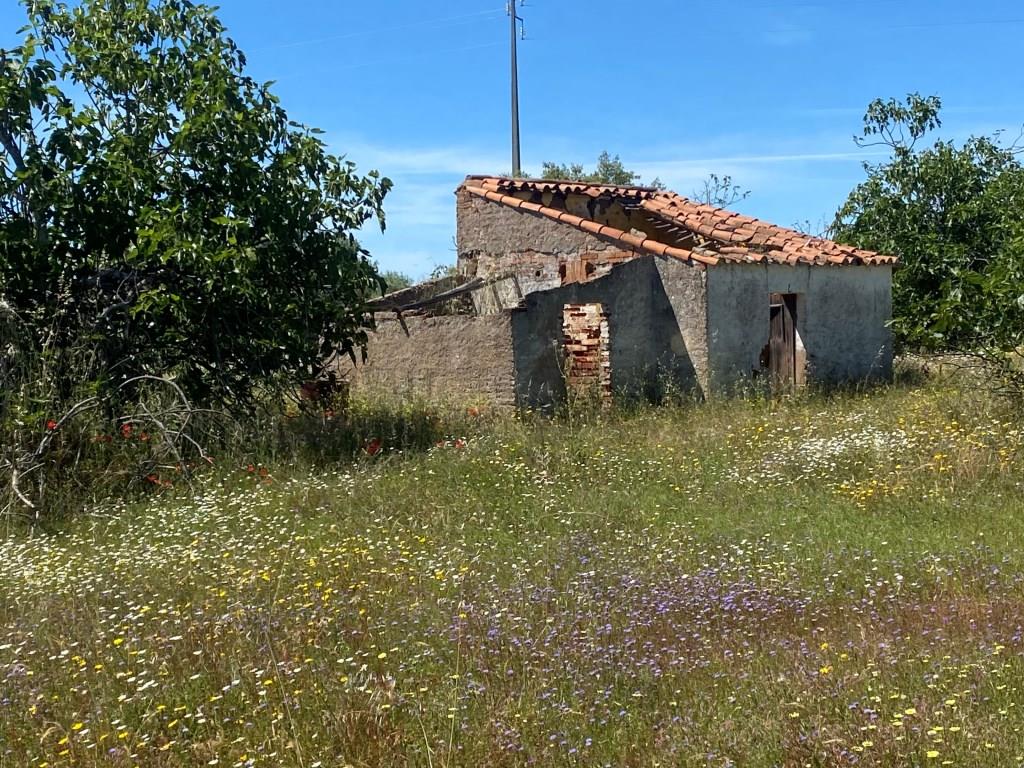 Farm in Vila Nova de São Bento, with a ruin to be recovered...