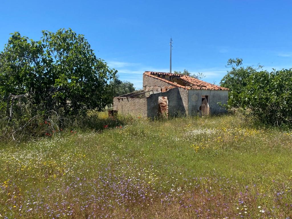 Farm in Vila Nova de São Bento, with a ruin to be recovered...