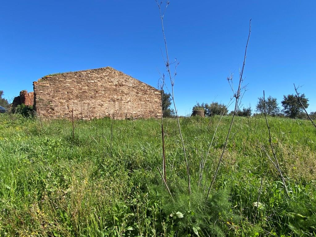 Farm in Alentejo, with cork oak plantations and two dams