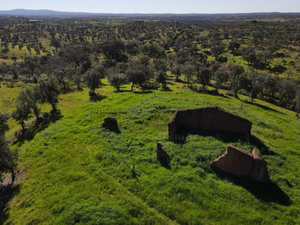 Farm in Alentejo, with cork oak plantations and two dams