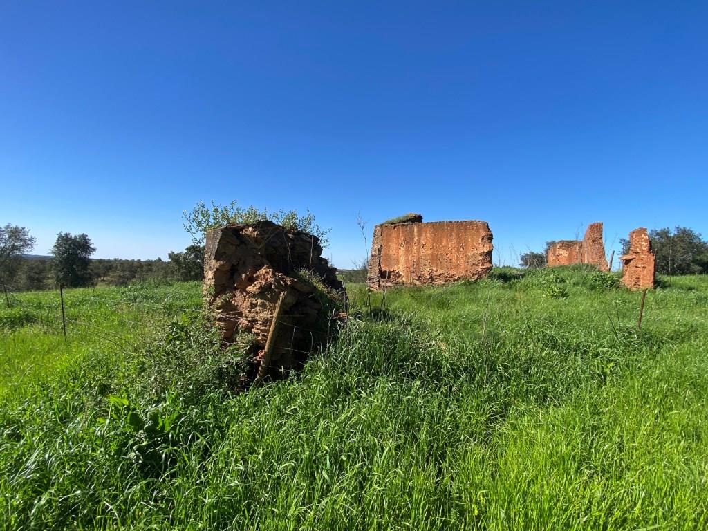 Farm in Alentejo, with cork oak plantations and two dams