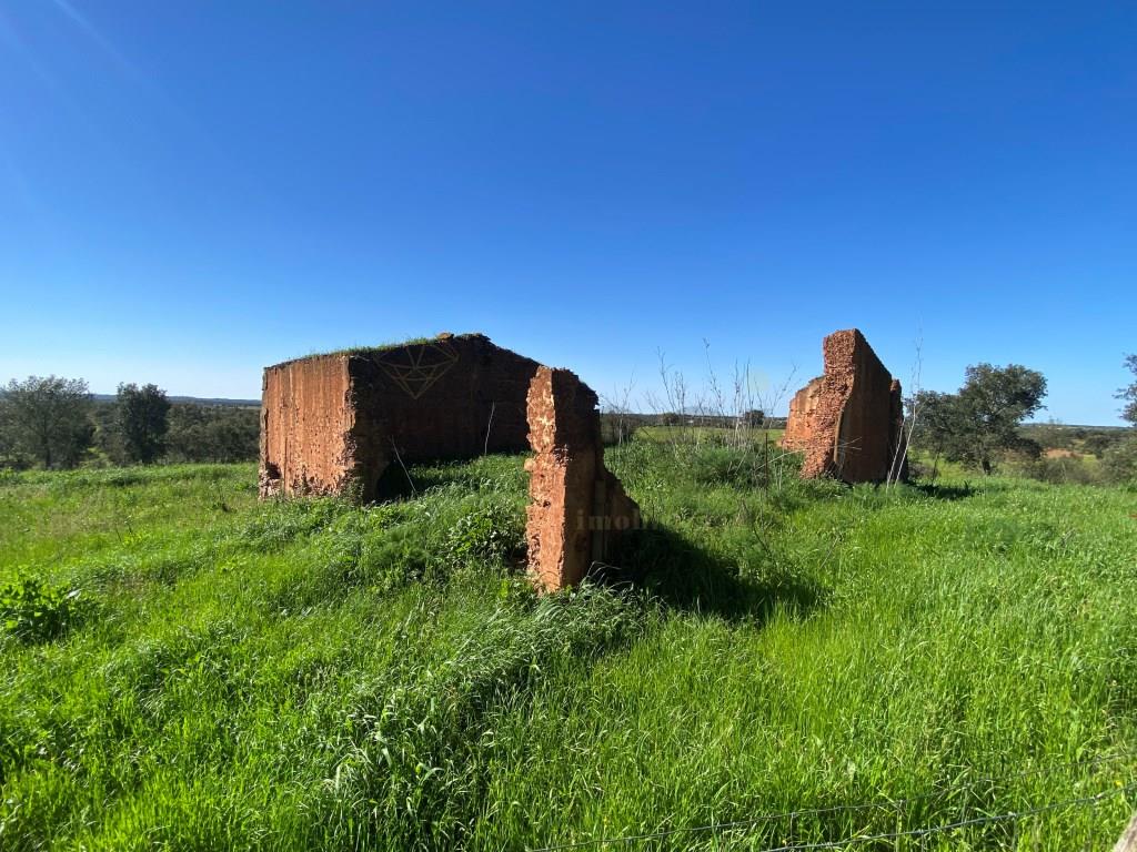 Farm in Alentejo, with cork oak plantations and two dams