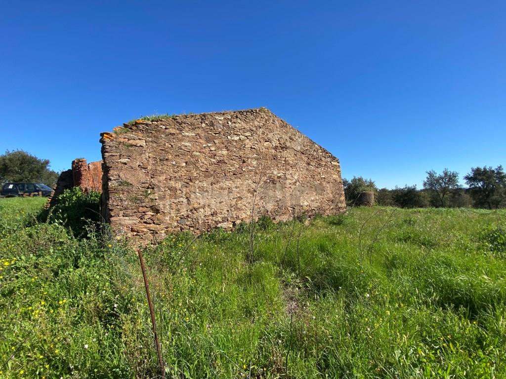 Farm in Alentejo, with cork oak plantations and two dams