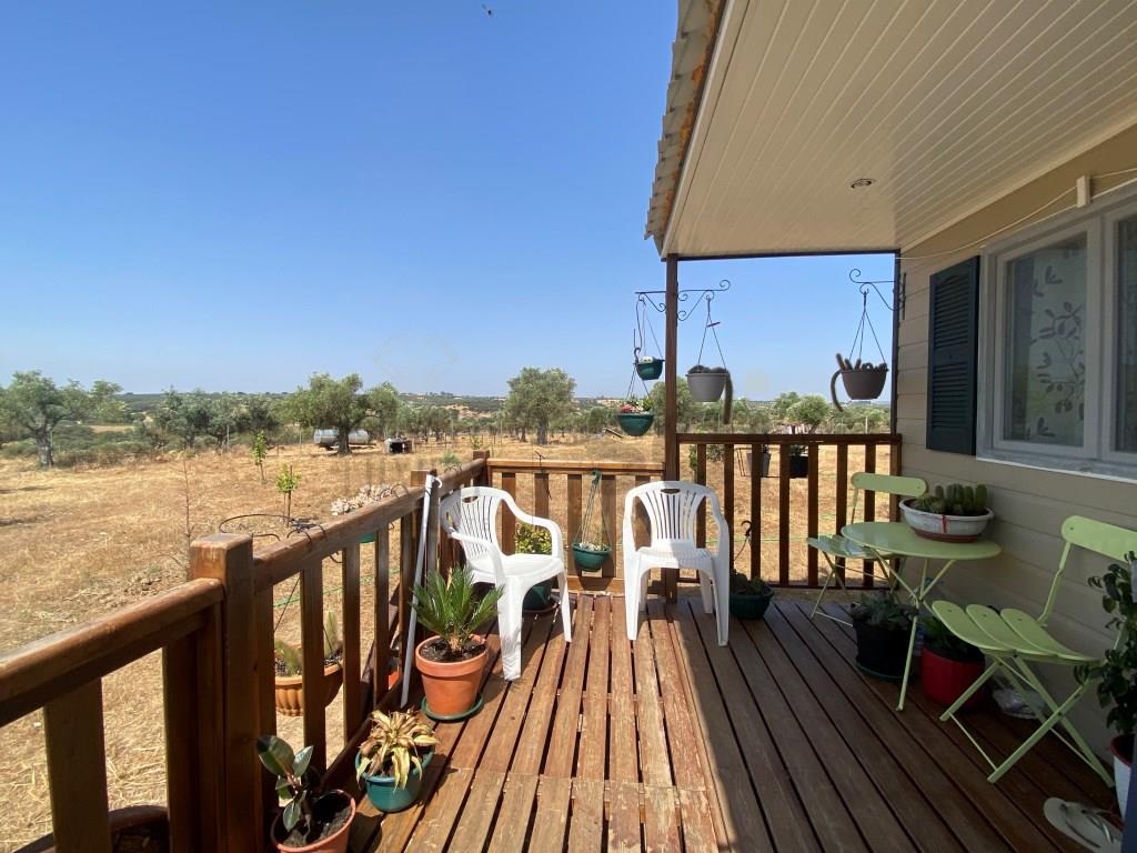 Rustic Land in Moura, with agricultural dependence with electricity and water from the Borehole and