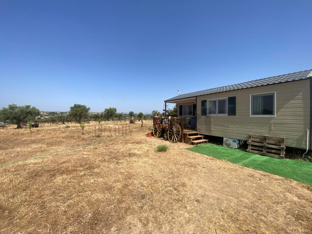 Rustic Land in Moura, with agricultural dependence with electricity and water from the Borehole and