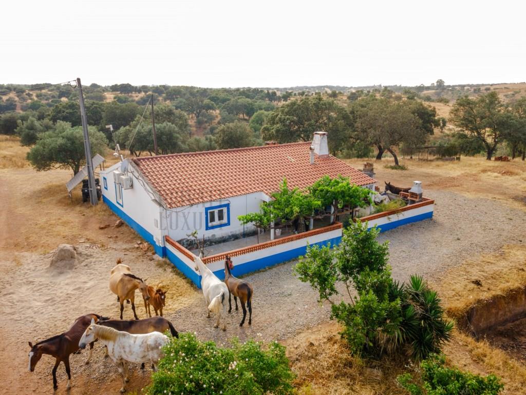 Farm 3 Bedrooms, Vila Verde de Ficalho