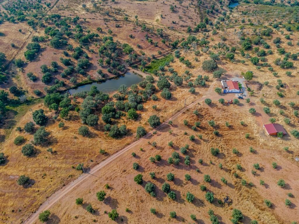 Farm 3 Bedrooms, Vila Verde de Ficalho