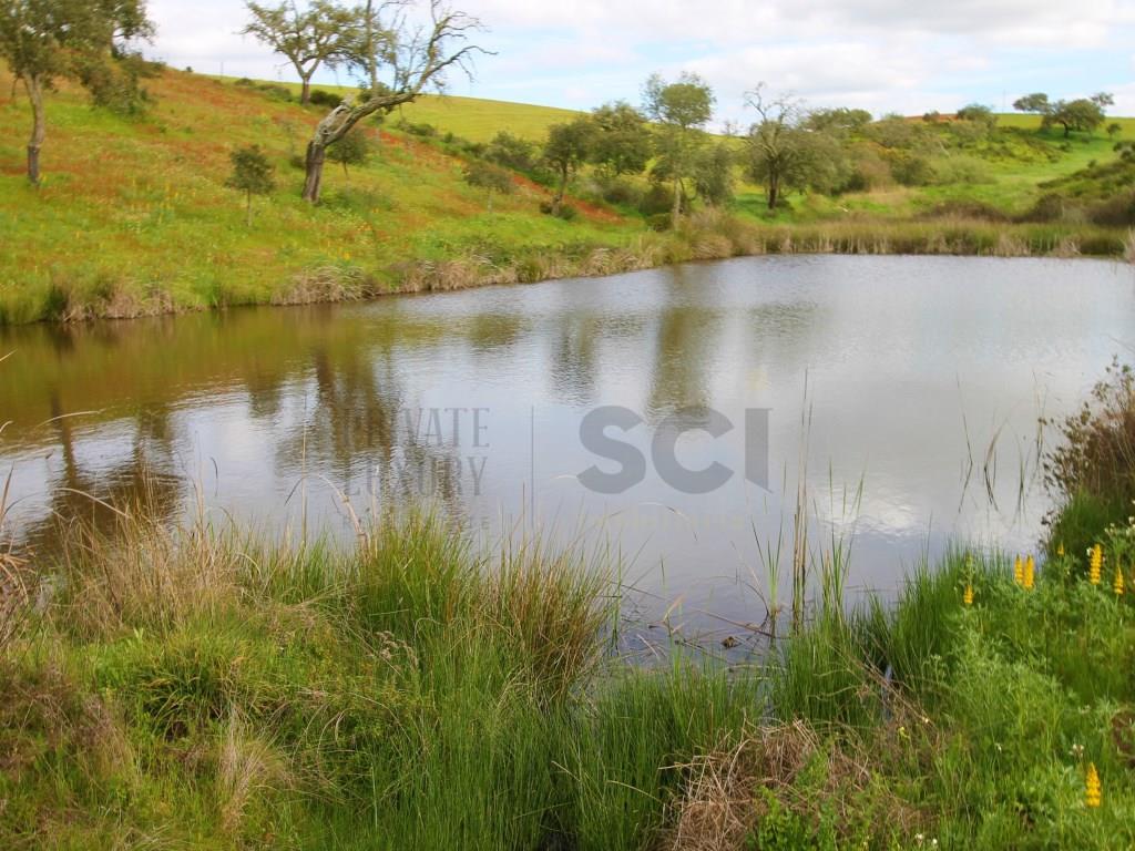 Herdade em Vila Nova de São Bento - Serpa com mais de 100 hectares e dois montes para recuperar