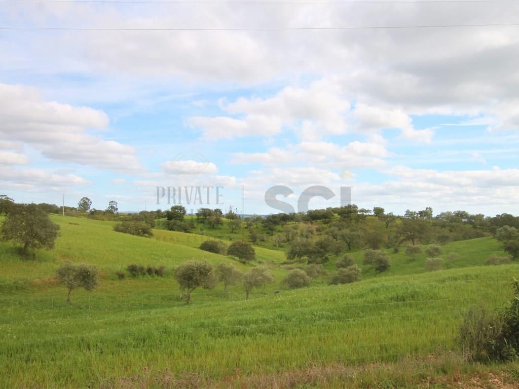 Herdade em Vila Nova de São Bento - Serpa com mais de 100 hectares e dois montes para recuperar