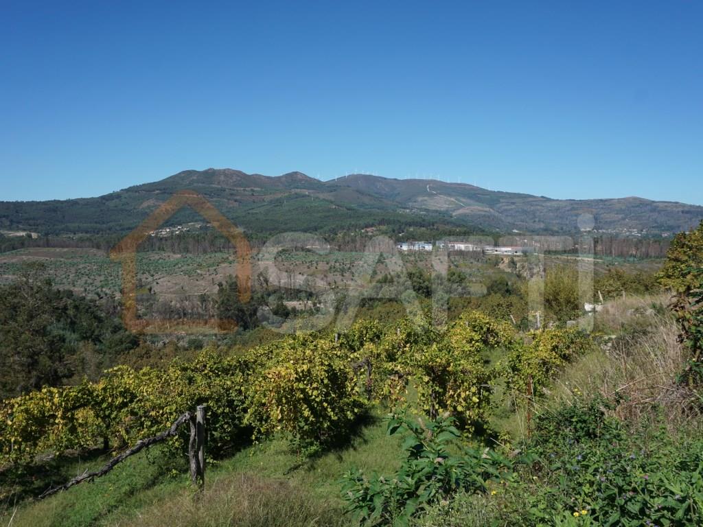 Rurale boerderij Te Koop Melgaço