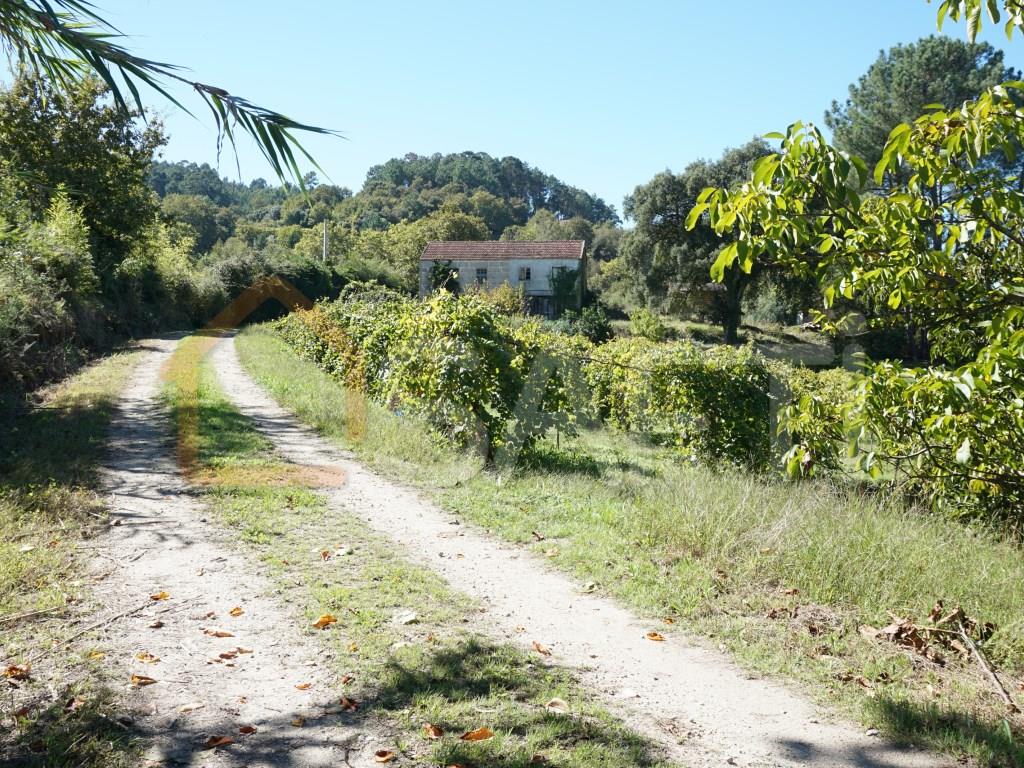 Rurale boerderij Te Koop Melgaço
