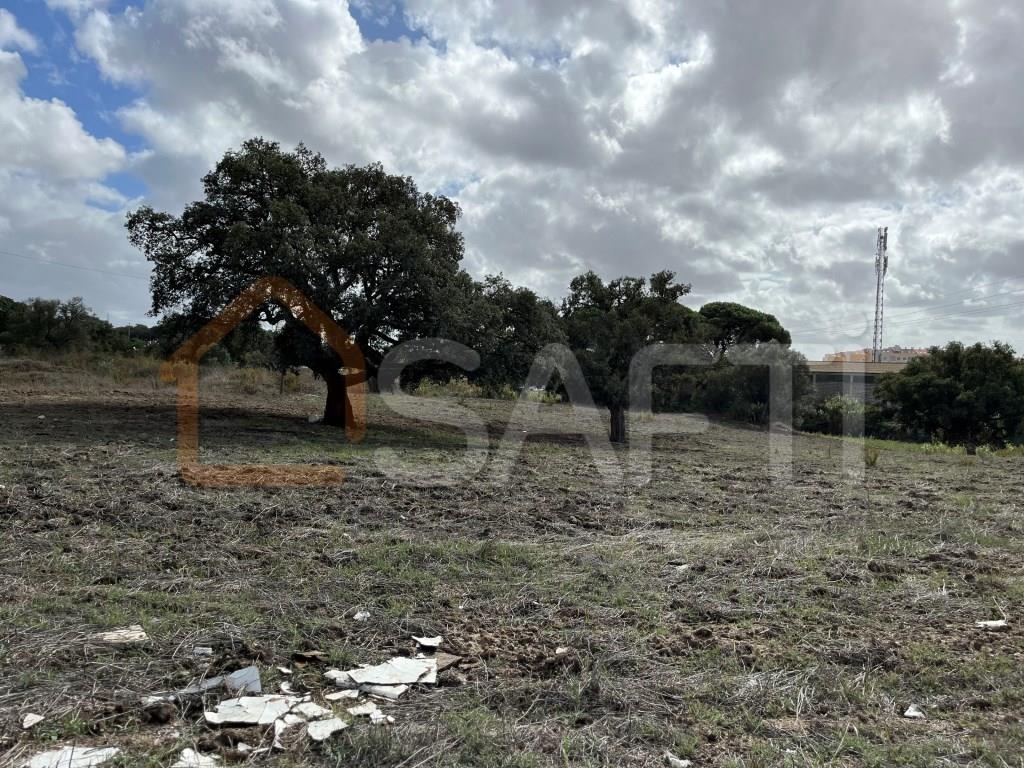 Magnificent Land 3,5 hectares with possibility of construction in Montijo