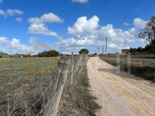 Magnifico Terreno 3.5 hectares com possibilidade de construção no Montijo