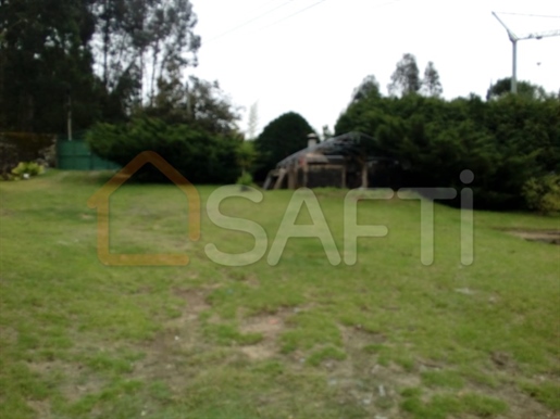 Farm with rebuilt house and land 20 km from Braga