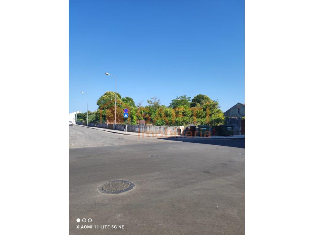 Purchase: Land (3060)