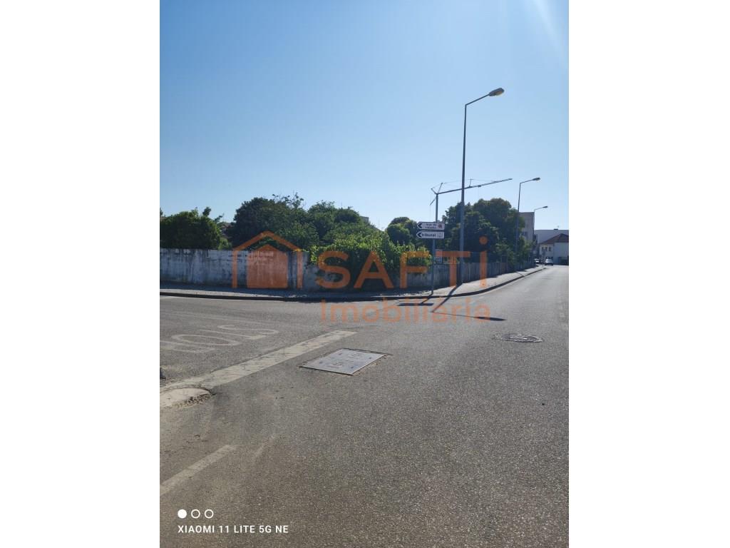 Purchase: Land (3060)