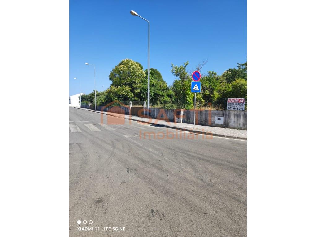 Purchase: Land (3060)