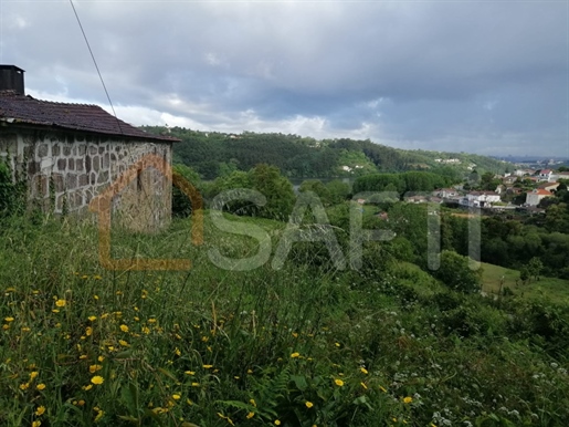 Quinta - com casa para recuperar e vistas para o rio Douro