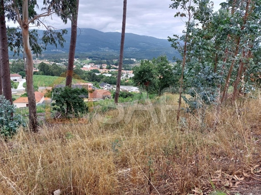 Земельный участок под строительство Продажа Melgaço