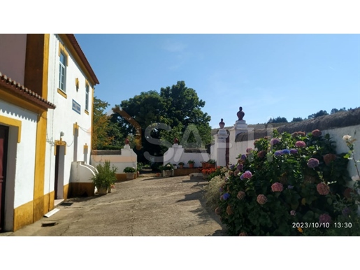 Quintinha Centenária na Serra São Mamede - Portalegre
