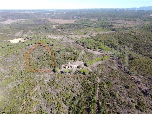 Herdade with 276 ha, enormous potential for investors !
