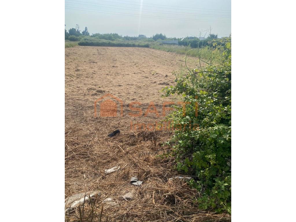 Land in Esmoriz