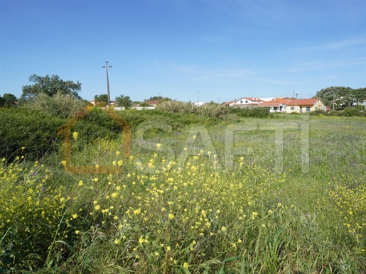 Advert picture